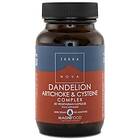 Terranova Dandelion, Artichoke & Cystein Complex, 50 kaps