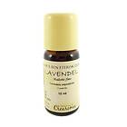 Crearome Lavendel Oil 10ml