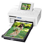 Canon Selphy CP810
