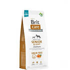 Brit Care Dog Senior & Light Grain Free (12kg)