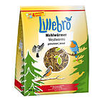 Lillebro Lillebro mjölmask, torkade - Ekonomipack: 2 x 500 g