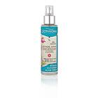 Activilong Acticurl Hydra Defining Serum