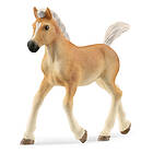 Schleich Haflinger Föl 13951