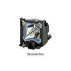 Panasonic Projektorlampa för PT-DS100X, PT-DS100XE, PT-DS8500, PT-DS8500U, PT-DW8300, PT-DW8300U, PT-DW90X, PT-DW90XE, PT-DZ110X, PT-DZ110XE