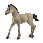 schleich HORSE CLUB Criollo-föl 13949