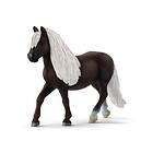 schleich HORSE CLUB Schwarzwaldsto 13898