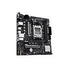 Asus Prime A620M-E-CSM