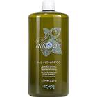 Echosline All-In Shampoo 975ml