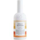 Waterclouds Relieve Shampoo 250ml