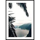 Gallerix Poster Between Palm Leaves 70x100 4663-70x100
