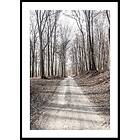 Gallerix Poster Gravel Road In Autumn Forest 70x100 5320-70x100