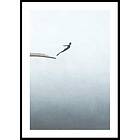 Gallerix Poster Jumping In The Void 50x70 5188-50x70