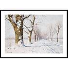 Gallerix Poster Snow Covered Avenue 4875-21x30G