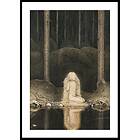 Gallerix Poster Tuvstarr By John Bauer 50x70 4762-50x70