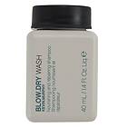 Kevin Murphy Blow.Dry Wash 40ml