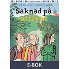 Saknad på utflykt, E-bok