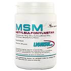 Ion Silver MSM lignisul 200g