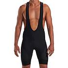 Zoot Elite Thermo Bib Shorts Svart L Man
