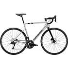 Cannondale Caad13 105 Di2 2023