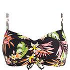 Freya Savanna Sunset Bikini Top Bralette