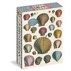 John Derian Paper Goods: Shells 1.000-Piece Puzzle