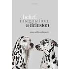 Belief, Imagination, and Delusion