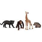 Schleich Wild Life Basic Kit