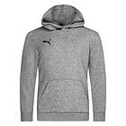 Puma teamGOAL 23 Casuals Hoodie (Jr)