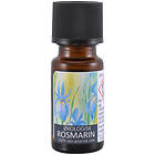 ReDo Rosmarinolja Eko 10ml