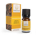 Ambience Frankincense Olja, EKO 10ml