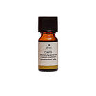 Fischer Pure Nature Elemiolja eterisk 10ml
