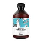 Davines Natural Tech Well Being Shampoo 250ml