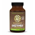 Sunwarrior Enzorb Enzymer