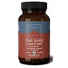 Terranova Pine Bark & Grape Seed Complex 50 kapslar