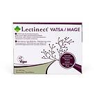 Lectinect Mage 30 tabletter