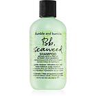 Bumble And Bumble Seaweed Shampoo 250ml