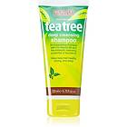 Beauty Formulas Tea Tree Deep Cleansing and Clarifying Shampoo 200ml