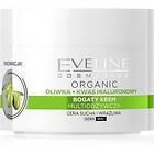 Eveline Cosmetics Green Olive Dag och nattkräm mot rynkor Med olivextrakt 50ml female