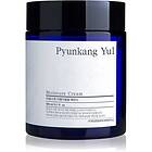 Pyunkang Yul Moisture Cream 100ml