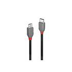 Lindy 36893 USB-kabel 3 m USB 2,0 USB C Micro-USB B Sort