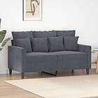 vidaXL 2-sitssoffa mörkgrå 120 cm sammet 359294
