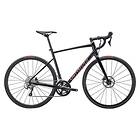 Specialized Allez E5 Disc Sport 2024