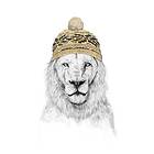 Pelcasa Poster Winter Lion 50x70 cm 2431446-3
