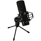 Devine M-Mic PRO XLR W Large-Diaphragm Condenser Microphone (Svart)