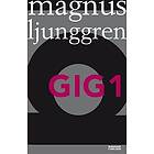 Magnus Ljunggren: Gig1