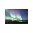 Ricoh 150BW OLED 15,6" Full HD