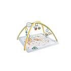 Fisher-Price Sensimals Baby Gym