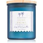 Paddywax Coastal Lush Palms doftljus 198g