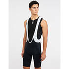 Protest Dionis Bib Shorts (Herr)