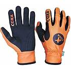 CoXa Carry Rollerski Gloves (Women's)